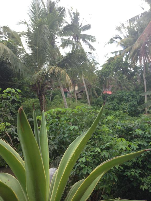 Cebluk Sari Lejlighed Ubud Eksteriør billede