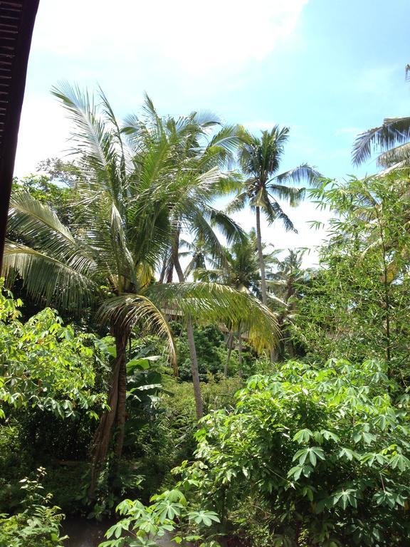Cebluk Sari Lejlighed Ubud Eksteriør billede